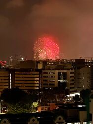 Blk 9 Joo Seng Green (Toa Payoh), HDB 4 Rooms #614100811